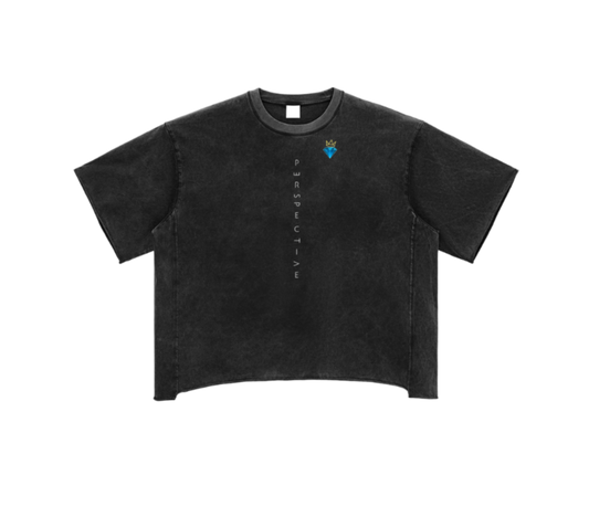 LOOSE SNOW WASHED BOXY "PERSPECTIVE" TEE